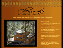 Tablet Screenshot of clearwatercabinrental.com